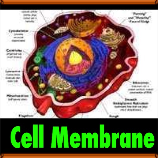 The Miracle in the Cell Membrane ( It all deals with the cell, blood and internal structures of body parts) icon