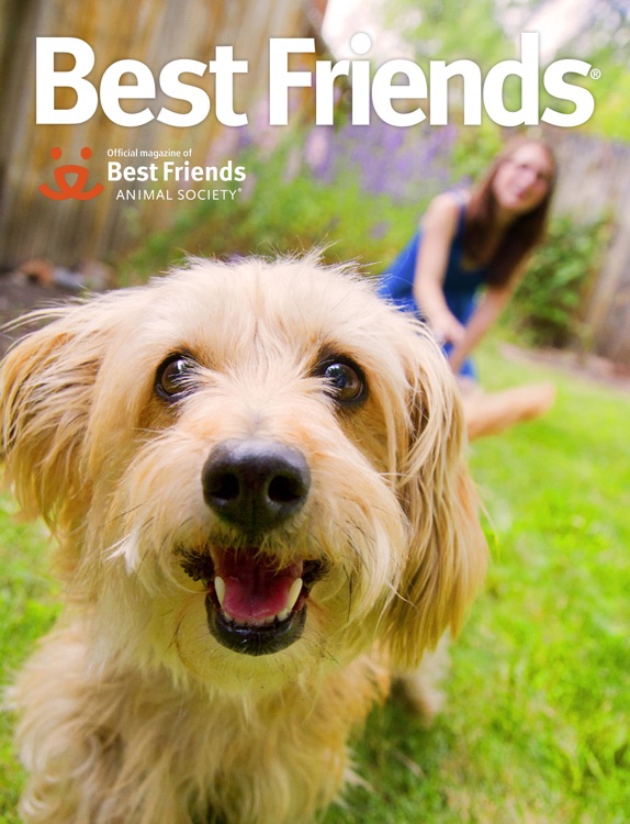 Best Friends Magazine HD