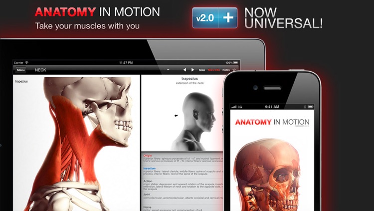 Anatomy In Motion - Complete - Muscle System Flashcards for iPhone and iPad