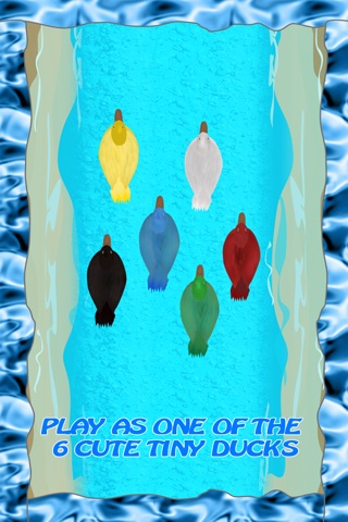 Tiny Plastic Duck Racing : Summer Water Race to Win - Free Edition screenshot 2