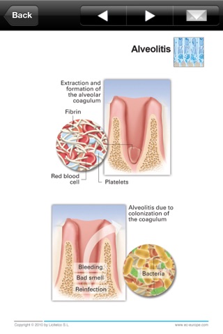 Miniatlas Dentistry screenshot 3