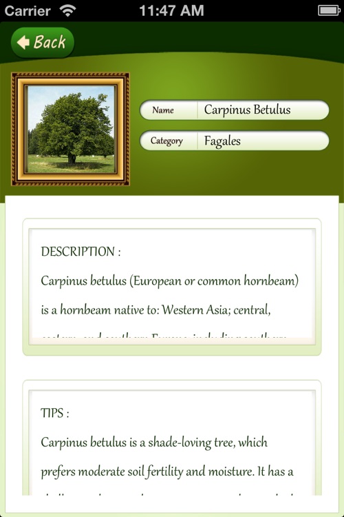 Trees Atlas screenshot-4