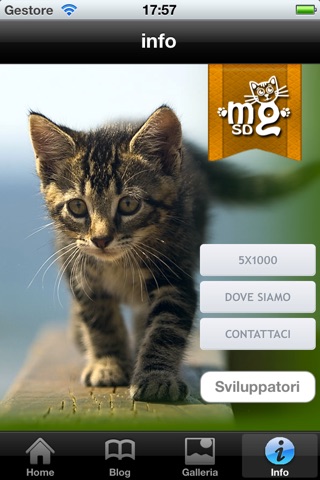 Mondo Gatto San Donato screenshot 4