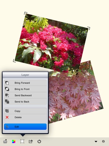 CollageEditor for iPad screenshot 2