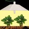 HIDgardener for iPhone