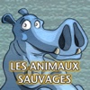 L'encyclo de Léo - Les animaux sauvages