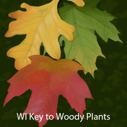 Key to Woody Plants of Wisconsin Forests