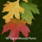 This key provides an easy-to-use tool for identifying Wisconsin trees, shrubs and vines