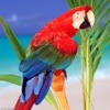 Parrot Encyclopedia