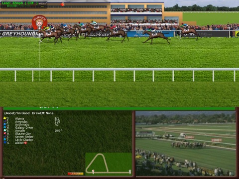 Starters Orders 4 Horse Racing (flat edition) screenshot 2