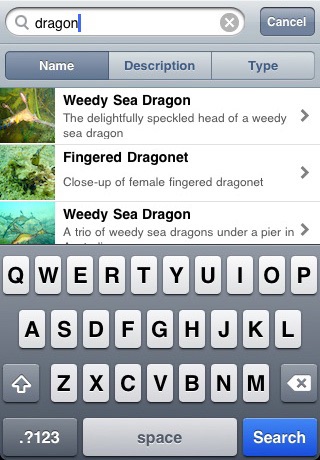 Reef Fish Lite screenshot 4