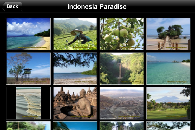 Indonesia Paradise