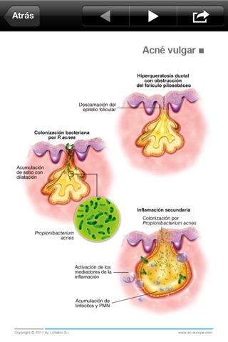 Miniatlas Dermatology screenshot 3