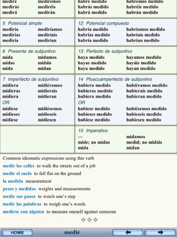 501 Spanish Verbs, 6th ed. for iPad screenshot 2