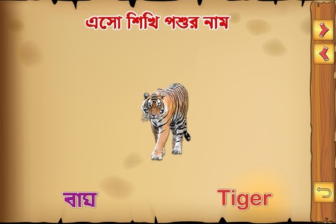 Bengali Animals screenshot 3