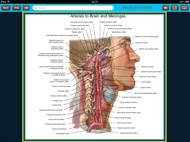 Atlas of Anatomy for iPad(圖3)-速報App