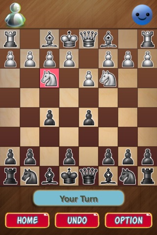 Classic Chess Board Game screenshot 3
