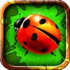 A Big Bug Smasher Free Game : Fun Challenge