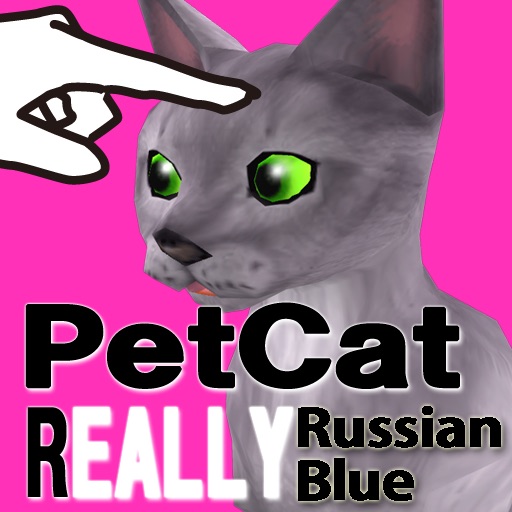 Russian blue Petting cat 3D REAL