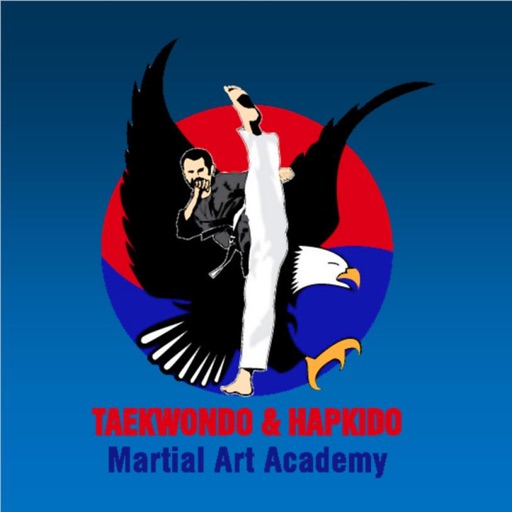 Tae Kwon Do and Hapkido Martial Arts Icon