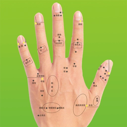 手部反射区示意图hd 超大高清 Apps 148apps