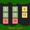 Numbers Square