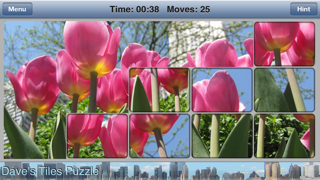 How to cancel & delete Dave's Tiles Puzzle Lite from iphone & ipad 2