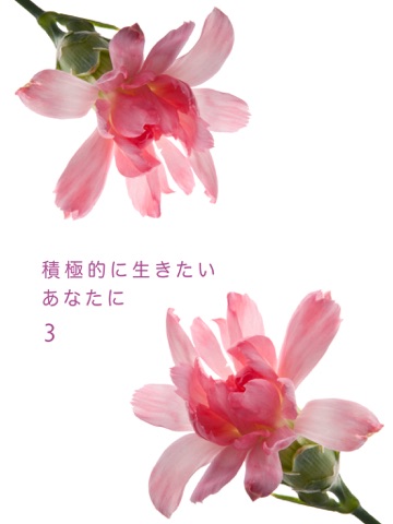 スクリーンショット 1