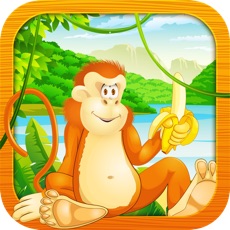 Activities of Monkey Kong Run