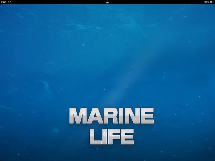 MarineLife HD -by Rye Studio™ screenshot-3