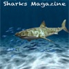 Sharks Magazine
