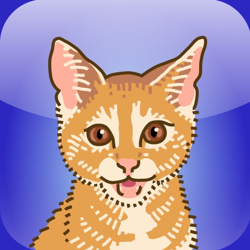 Catch The Cat! iOS App