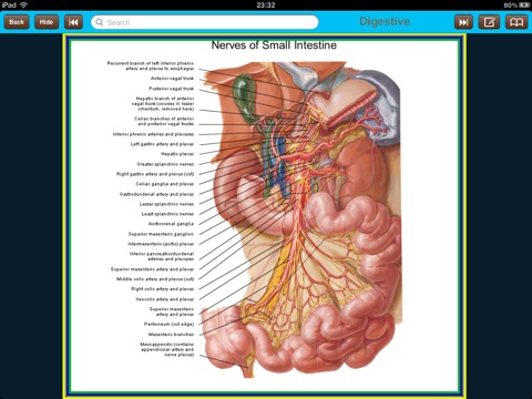 Atlas of Anatomy for iPad screenshot 4