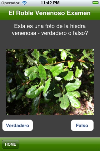 Poison Oak Quiz screenshot 3