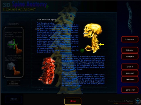 Anatomy Spine screenshot 2