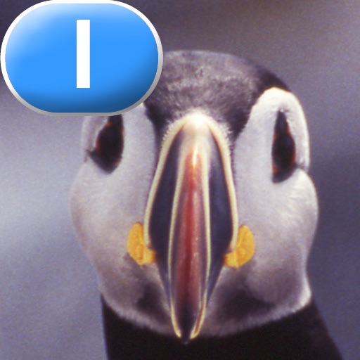 Birds - LAZ Reader [Level I–first grade] icon