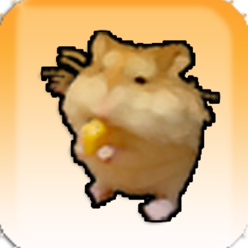 Raising Hamster icon