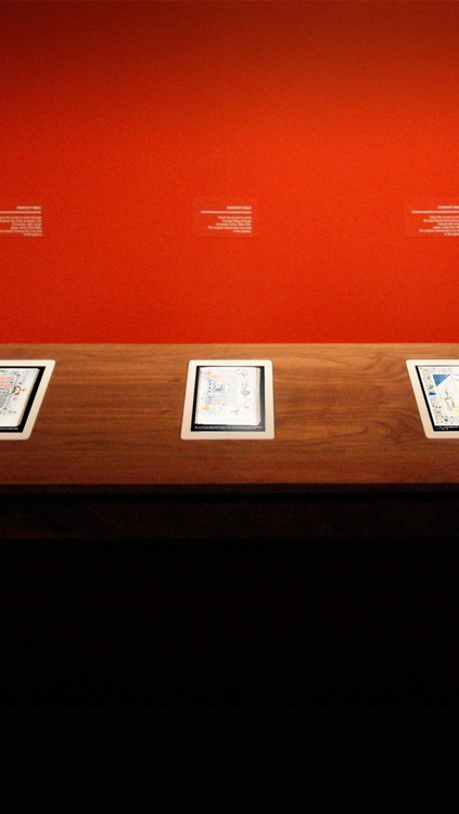 Morpholio Exhibit: Kiosk App for Display and Presentation