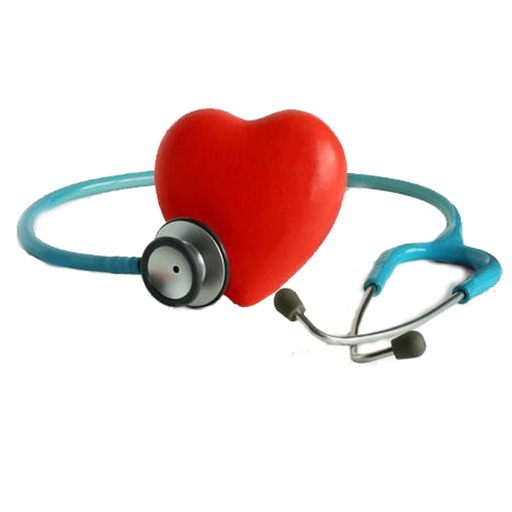 心血管健康评估系统