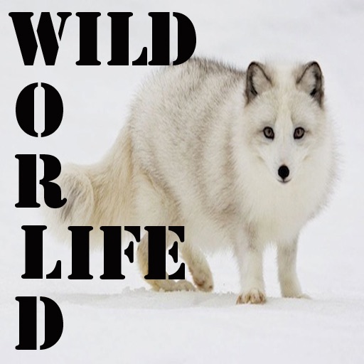 World Wild Life icon