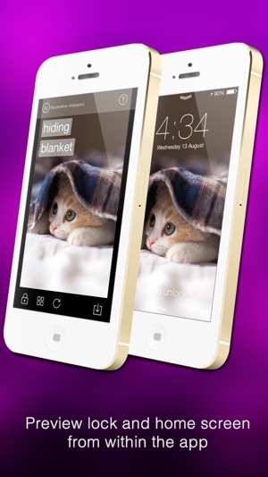 Wallfive HD Wallpapers - My Little Kittens(圖5)-速報App