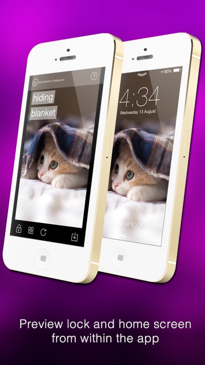 Wallfive HD Wallpapers - My Little Kittens screenshot-4