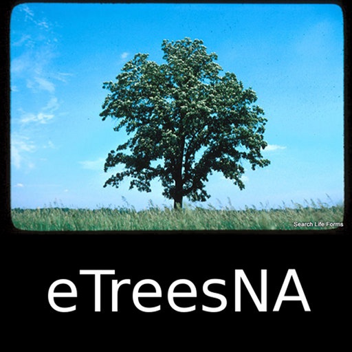 Trees, Shrubs and Vines of North America - eTreesNA - A Tree App Icon