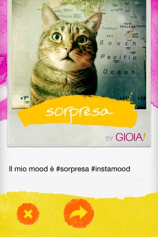Insta Mood by Gioia! screenshot 3