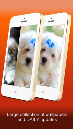 Wallfive HD Wallpapers - Cute Puppies(圖4)-速報App