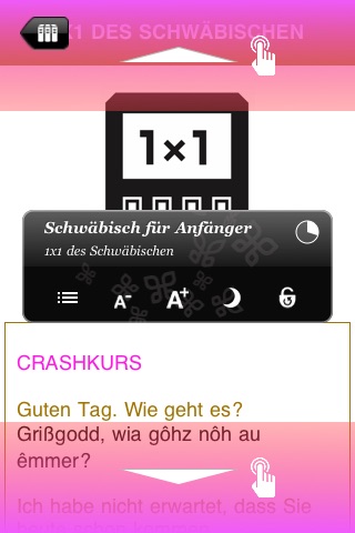 Schwäbisch für Anfänger