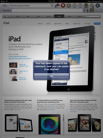 Invisible Browser for iPad screenshot 4