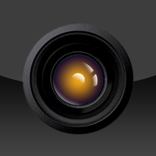 Camera Flash & Zoom FREE icon