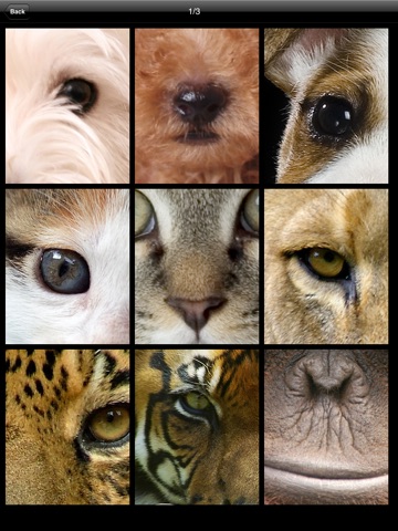 The Animals For iPad screenshot 2