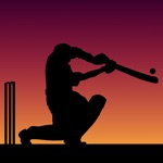 Download Little Master Cricket app